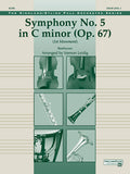 Beethoven's Symphony No. 5, 1st Movement Cover Image