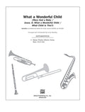 What a Wonderful Child Cover Image