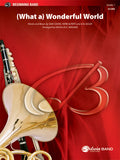 (What a) Wonderful World Cover Image