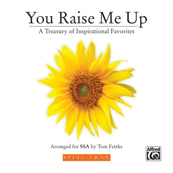You Raise Me Up Cover Image