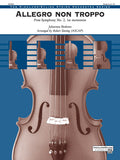 Allegro non troppo Cover Image