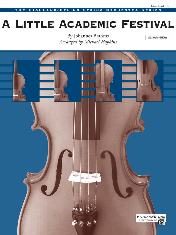 A Little Academic Festival Cover Image