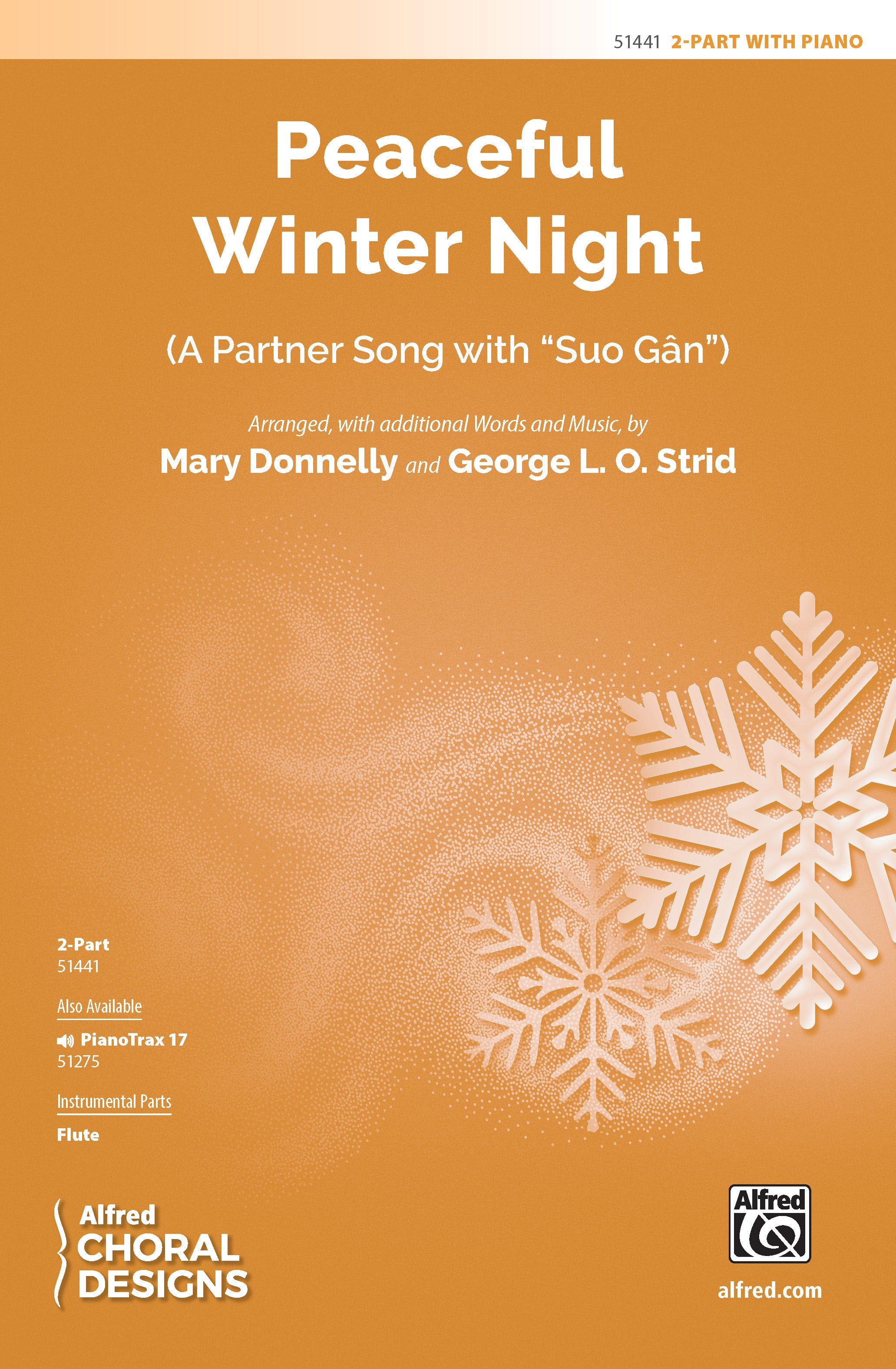 Peaceful Winter Night Cover Image