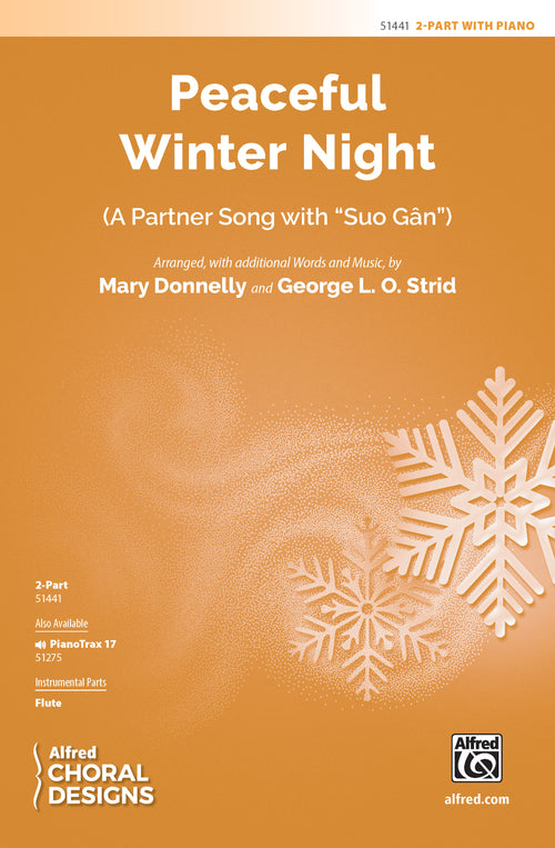 Peaceful Winter Night Cover Image