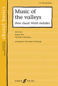 Music of the Valleys Cover Image