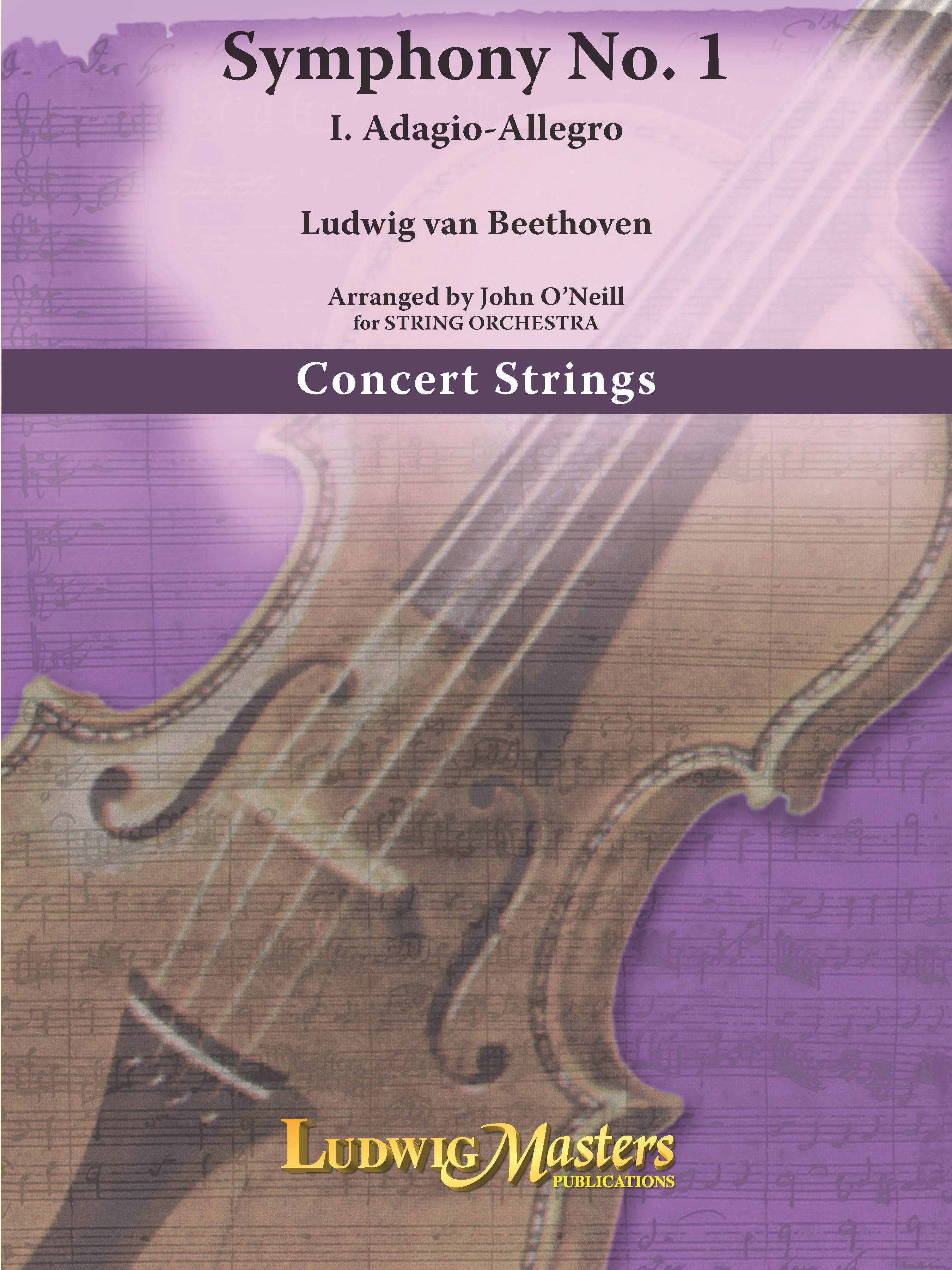Symphony No. 1, Mvt. 1 for String Orchestra Cover Image