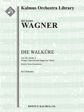 Die Walkuere: Act III, Sc. 3: Wotans Abschied und Feuerzauber [concert arrangement] (Wotan's Farewell and Magic Fire Scene) Cover Image