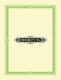 Cadenzas Mozart Piano Con 22 K 482 Cover Image