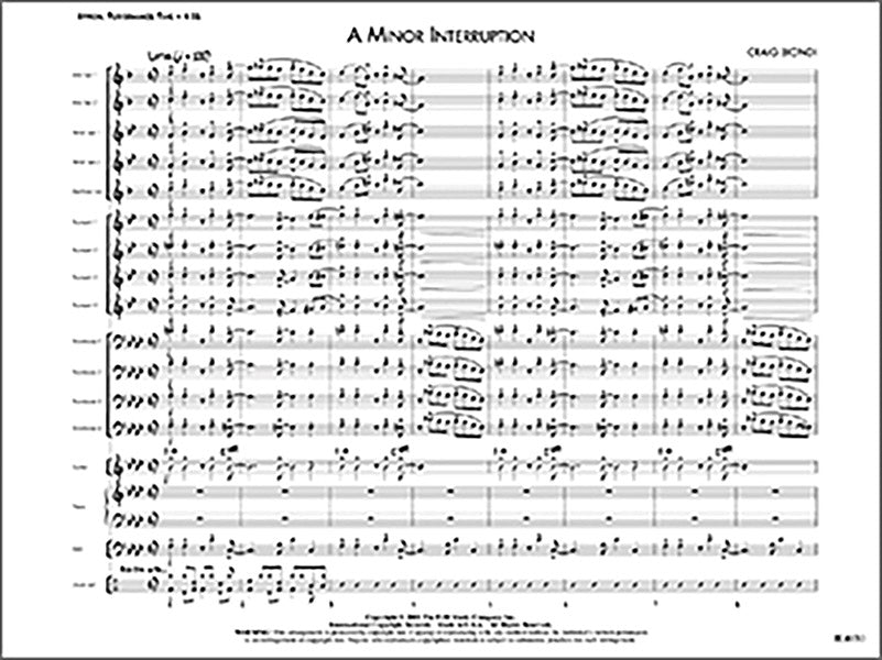 A Minor Interruption Cover Image