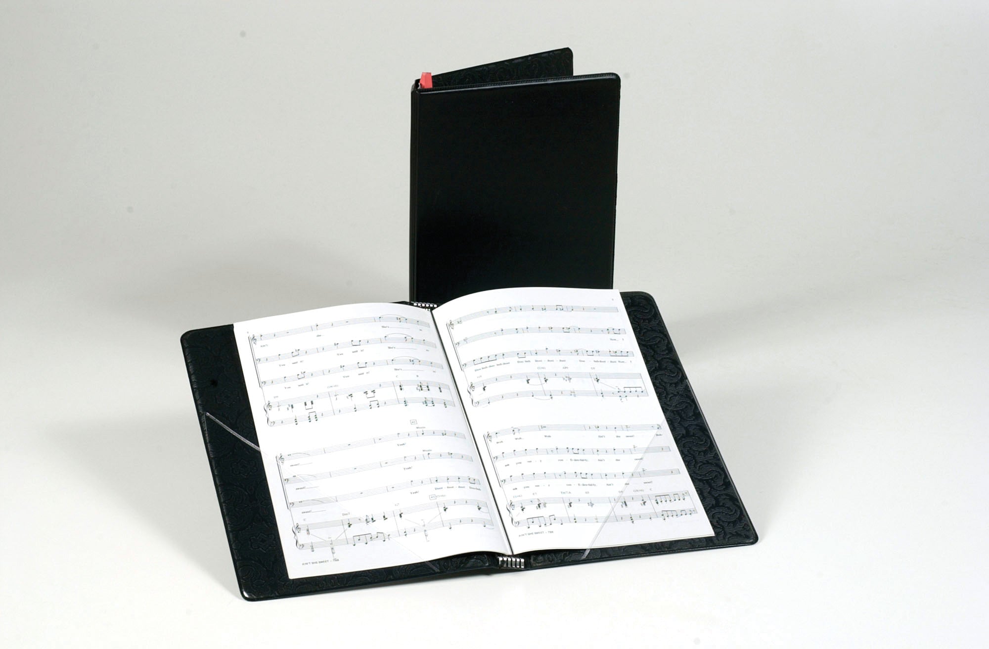 Economy Choral Folder Cover Image