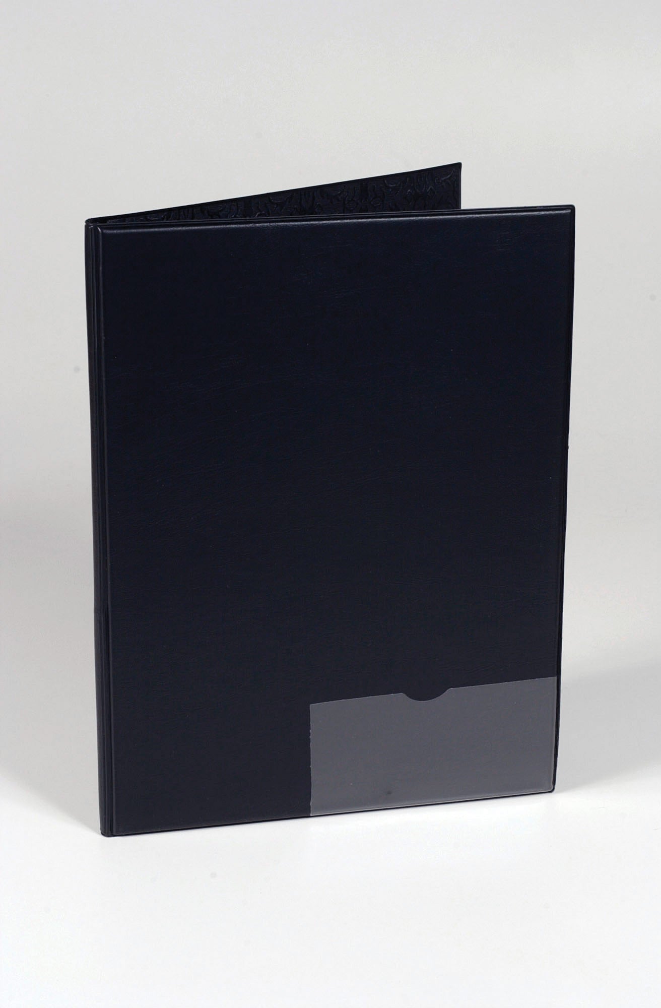 Economy Gusset Band Folder Cover Image