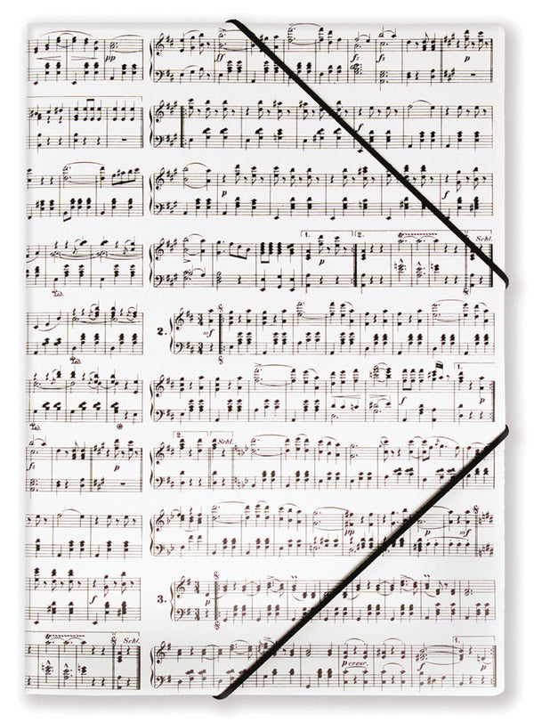 File with Elastic Band: Strauss Cover Image